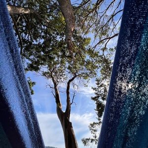 Meet your Posher, Elise